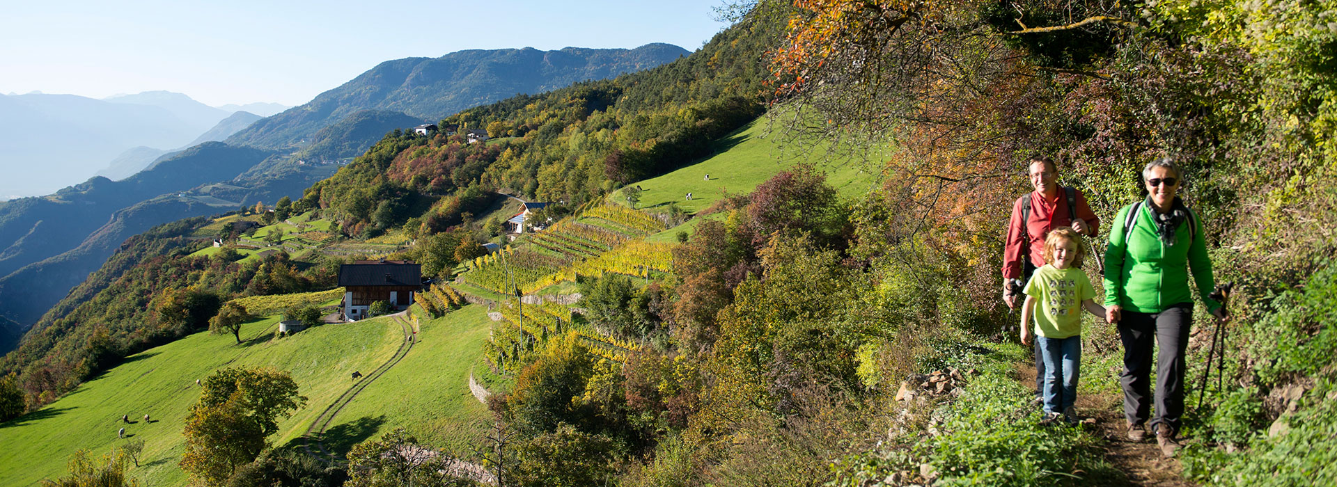 hoefewanderung